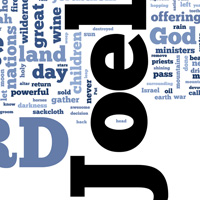Joel - Word Cloud